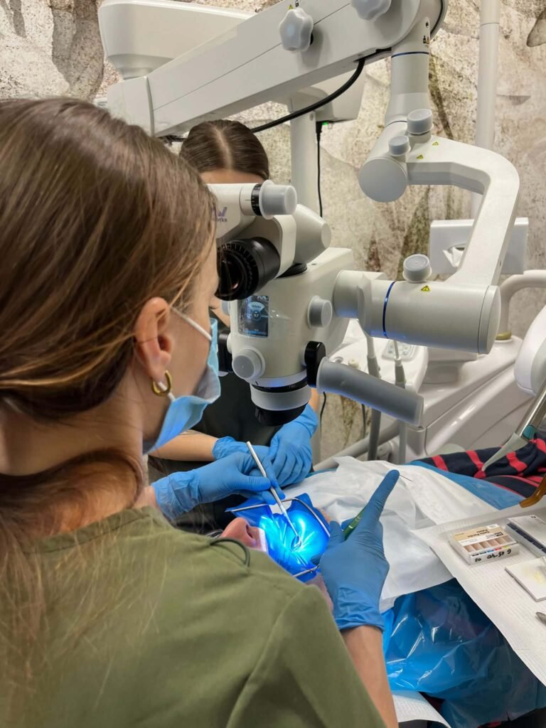 956a7bfd-e584-4425-a818-ae91301e4ec1